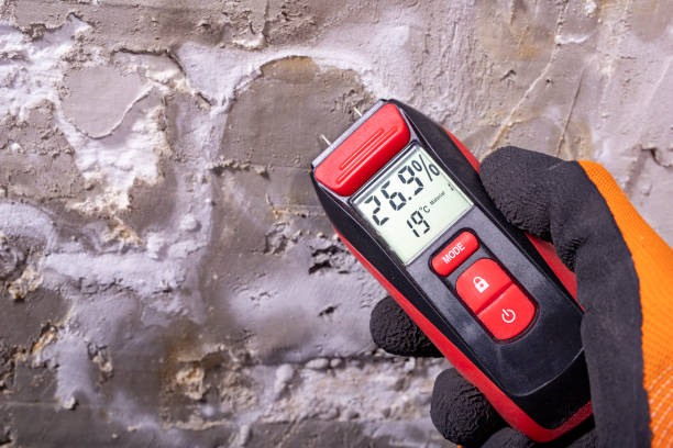 Best Mold Remediation Services  in New Lebanon, OH