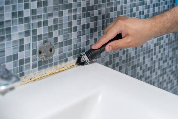 Best Certified Mold Removal  in New Lebanon, OH