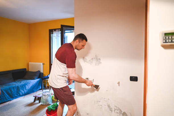 Best Mold Removal Specialists  in New Lebanon, OH